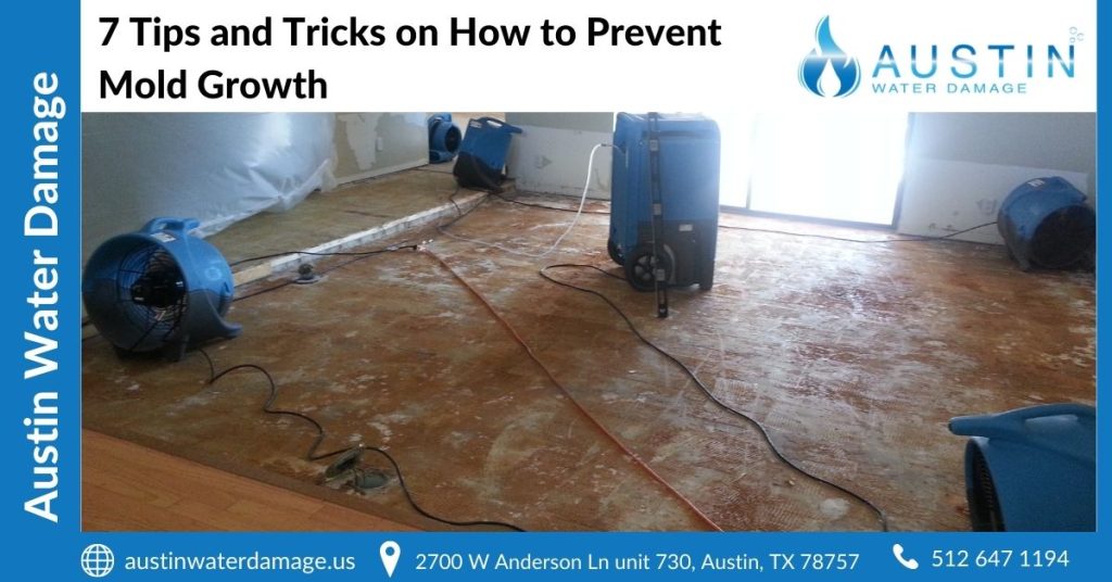 7 Tips and Tricks on How to Prevent Mold Growth